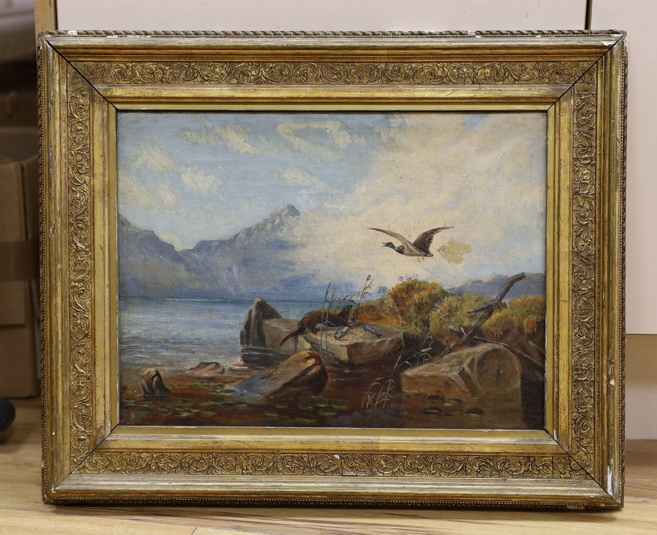 Victorian School, oil on canvas, Otter and duck beside a loch, 30 x 40cm